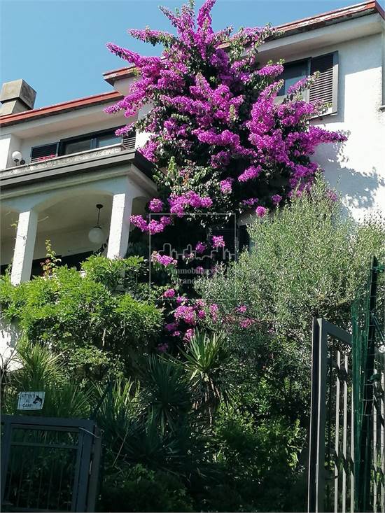 particolare esterno lato sud